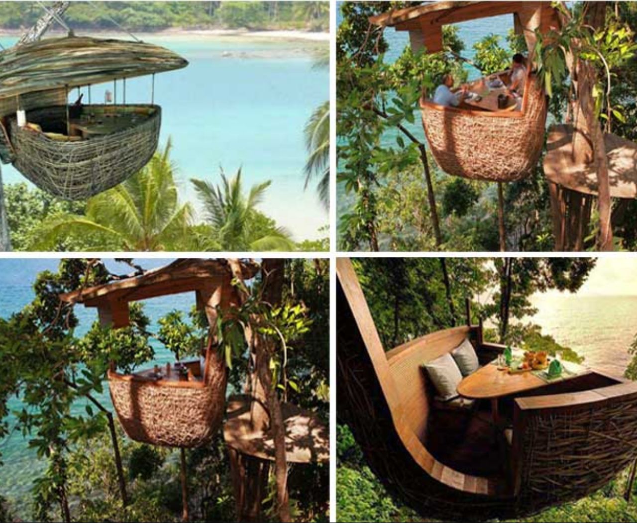 رستوران درختی در تایوان + عکس