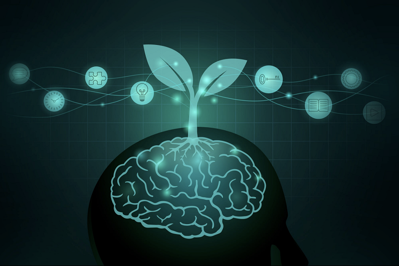 شش تکنیک علمی مؤثر برای تقویت عملکرد مغز