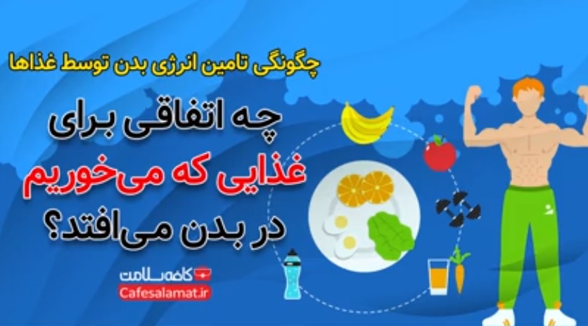 چه اتفاقی برای غذایی که می‌خوریم در بدن می‌افتد؟
