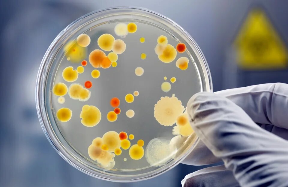 کشف آنتی‌بیوتیک جدیدی که باکتری‌های مقاوم را نابود می‌کند