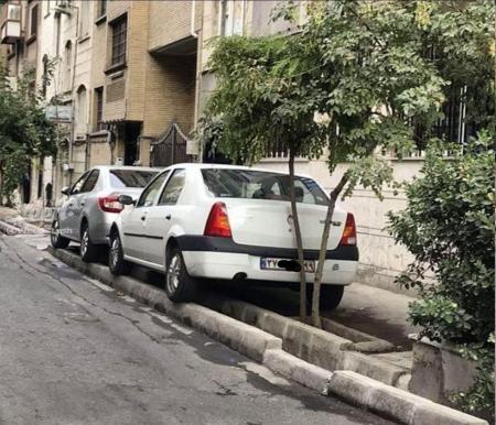 سبک عجیب پارک کردن ماشین که همه را انگشت به دهان گذاشت+عکس