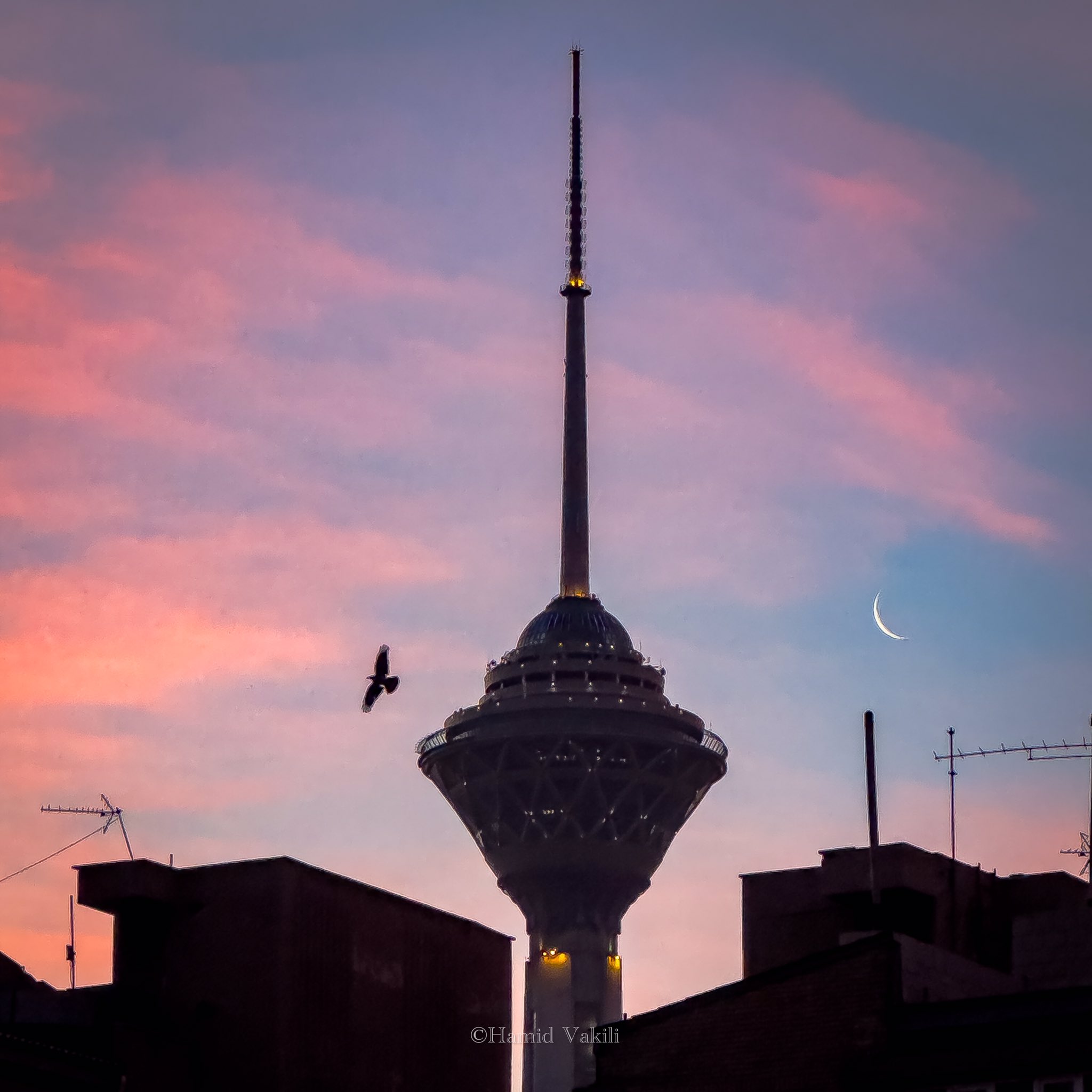قابی زیبا از برج میلاد در آغوش آسمانِ نیلگون تهران + عکس