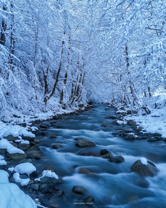 طبیعت زمستانی مازندران+عکس