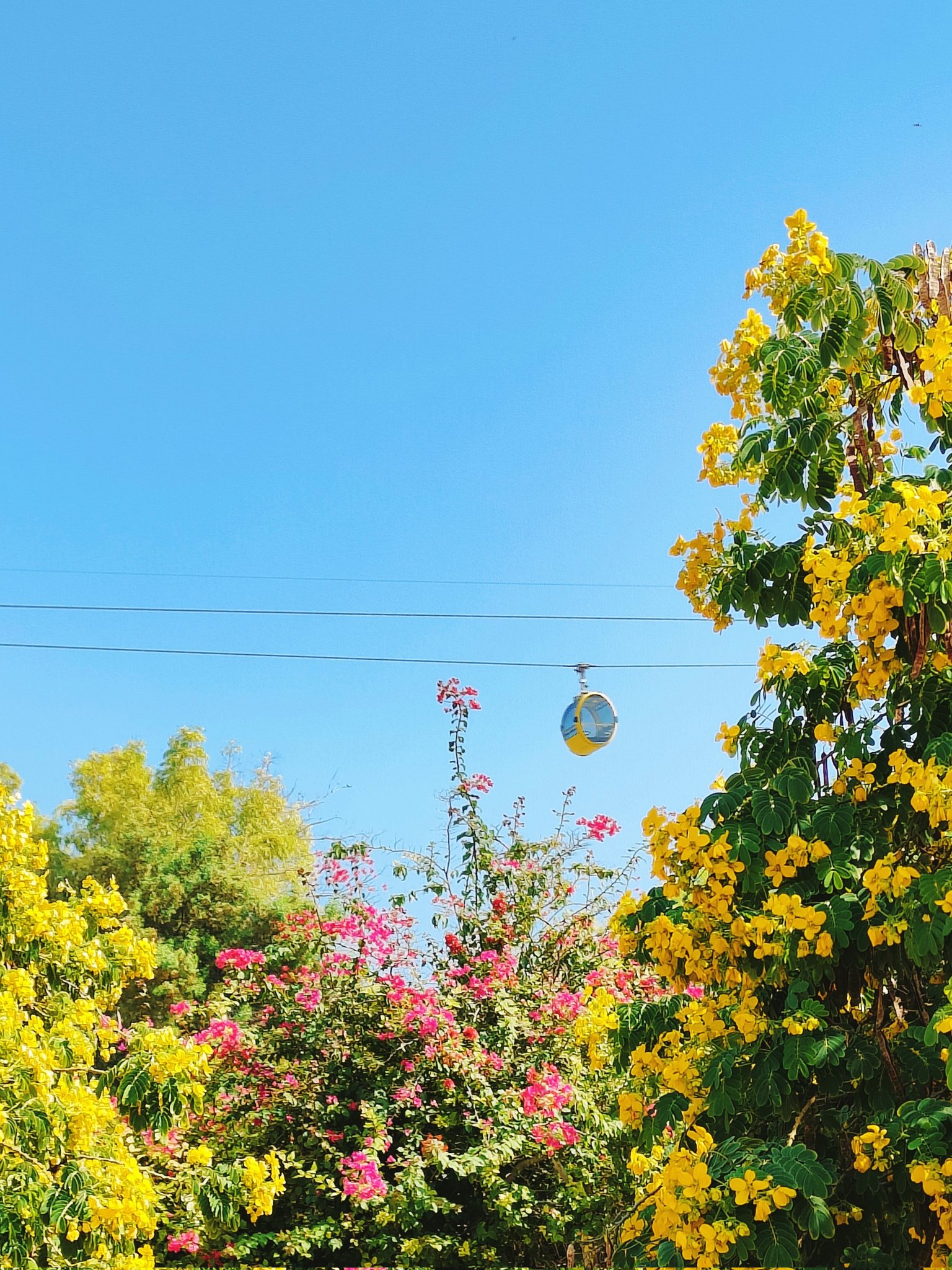 تصویر دیدنی از تله کابین کیش+عکس