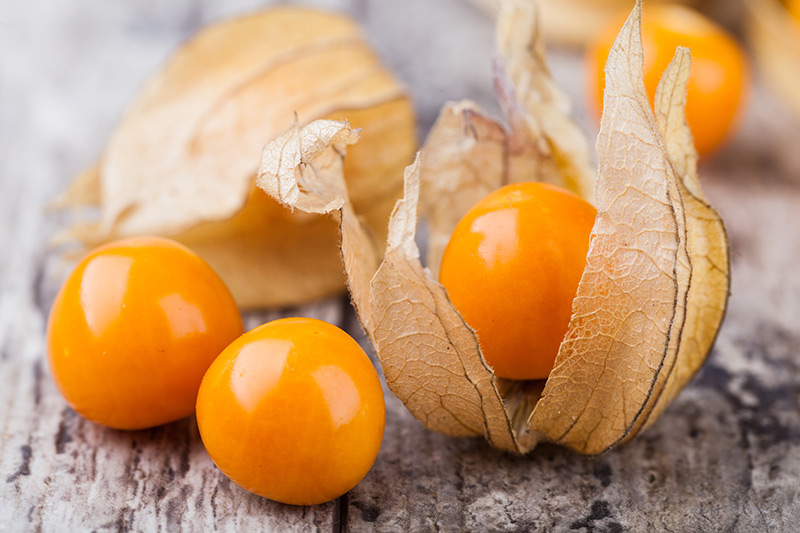 آیا می دانید میوه فیسالیس چه خواصی دارد؟