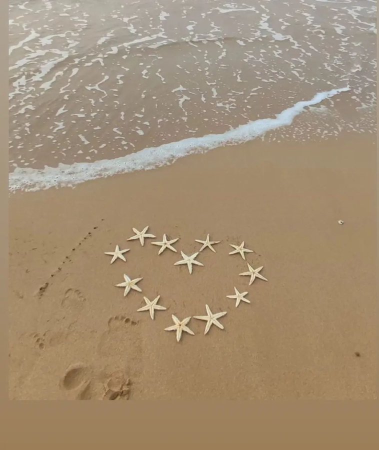 با ستاره‌های دریایی خلیج فارس این کار را نکنید+عکس