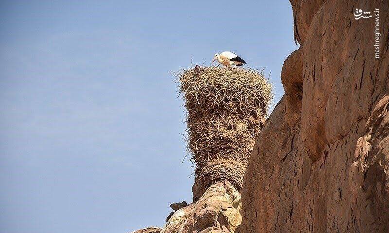قلعه لک لک ها در روستای شکورچی زنجان + عکس