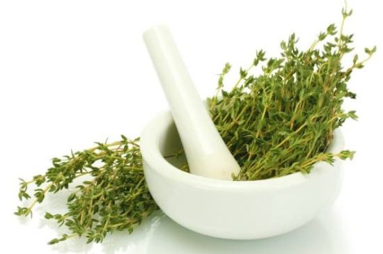  گیاه آویشن چیست و چه خواصی دارد؟ 