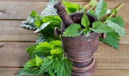 اگر از جوش‌های پوستی خسته شده‌اید این گیاهان چاره کار شما هستند