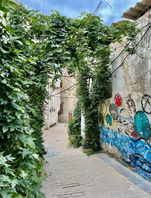 کوچه پس کوچه‌های باصفای بوشهر که هر بیننده‌ای را مجذوب خودش می‌کند+عکس
