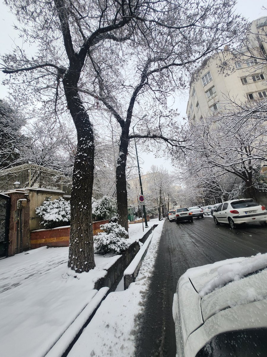 تصویر زیبا از تهران برفی امروز+عکس
