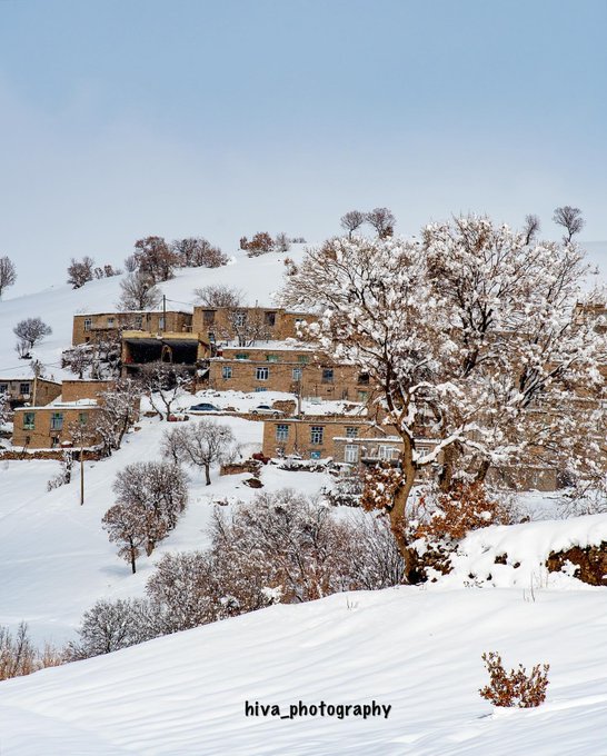 تصویر زیبایی از کردستان برفی+عکس