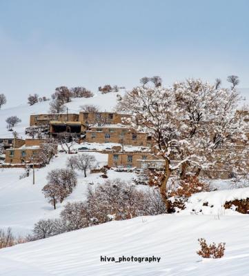 تصویر زیبایی از کردستان برفی+عکس