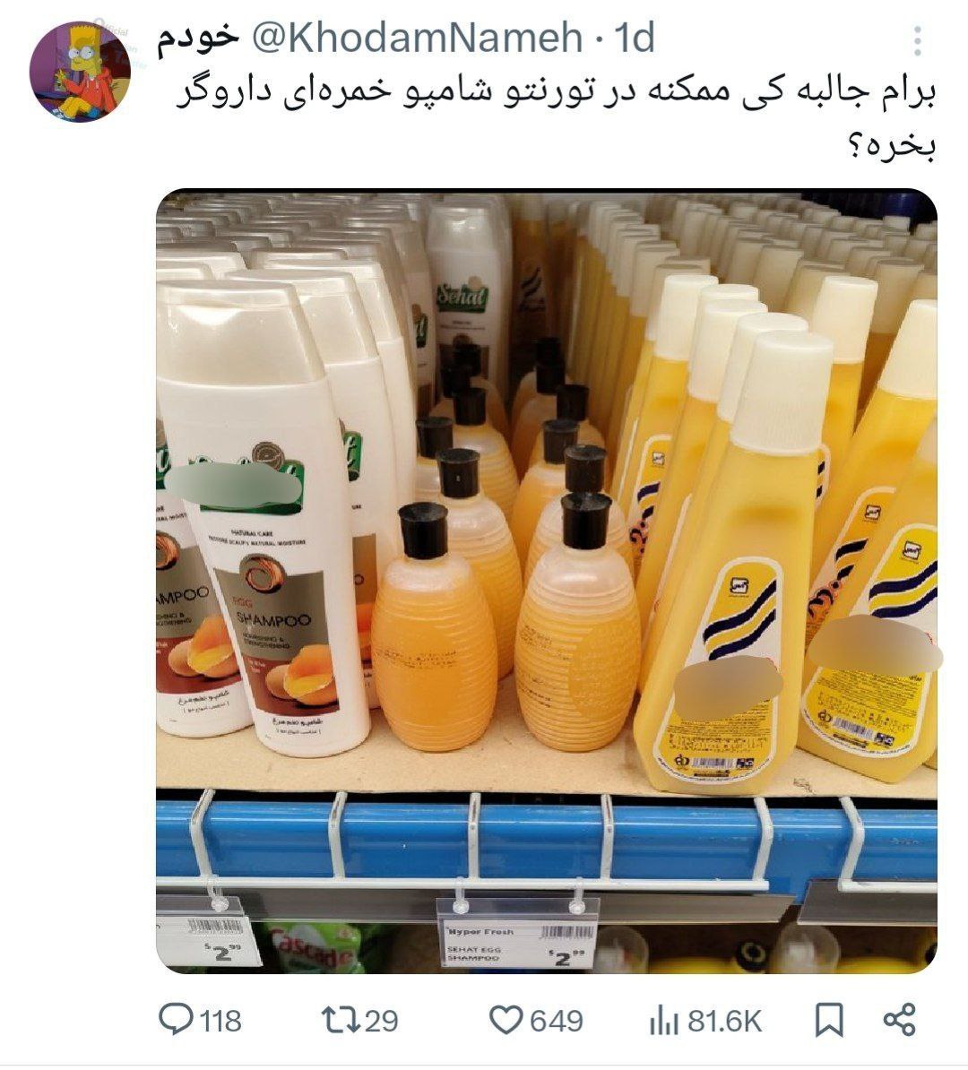 دیدن این صحنه در کانادا ایرانی‌ها را میخکوب کرد+عکس