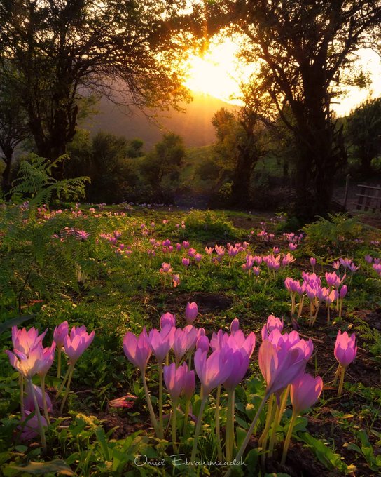 طبیعت زیبای سوادکوه در بهار مازندران+عکس
