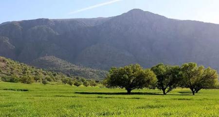 بهش سرسبز خوزستان و دشت سوسن زیبای‌اش+عکس