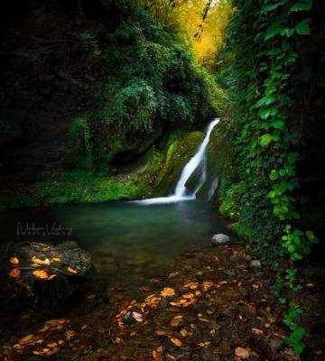 رخ‌نمایی بهار در منطقه نمونه گردشگری کبودوال+عکس