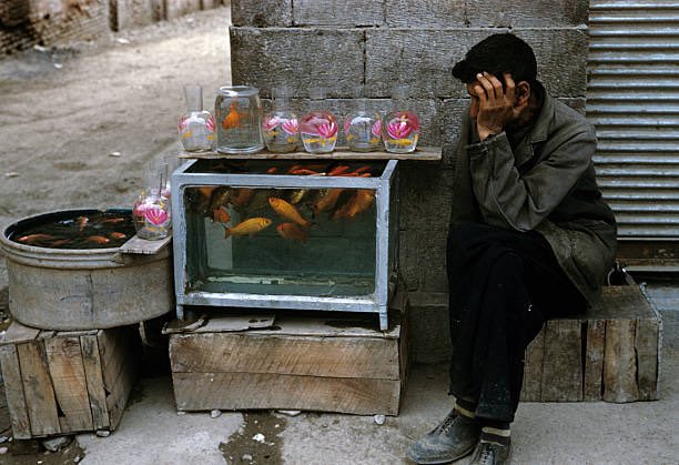 مرد ماهی فروش تنها در تهران سال ۱۳۳۹+عکس