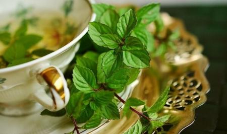 از خوردن نعناع در ماه رمضان غافل نشوید +فواید این سبزی معطر