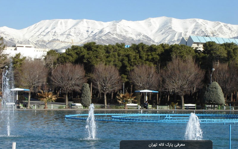تصویر غیرمنتظره‌ای که از پارک لاله تهران وایرال شد +عکس