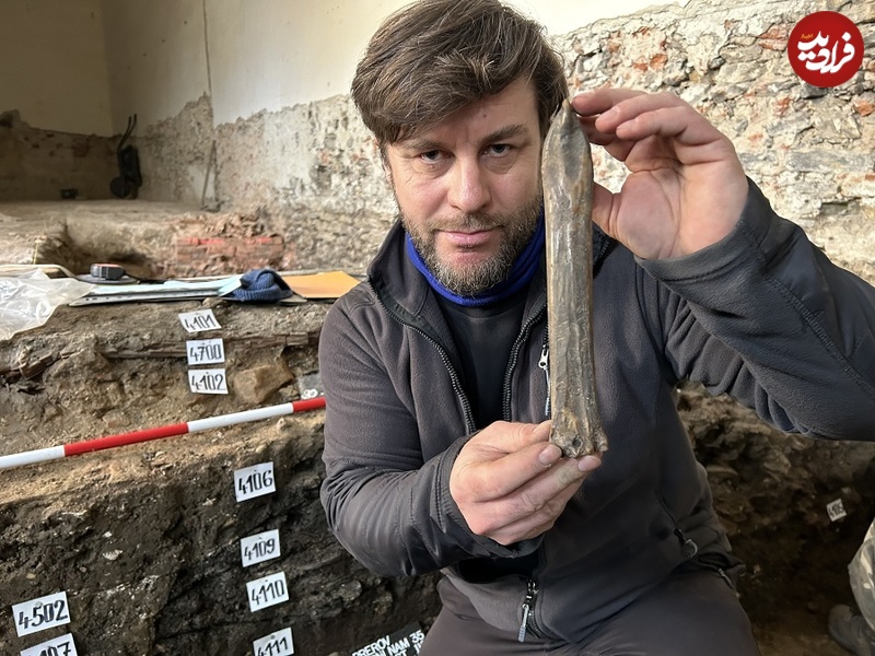 کشف یک اسکیت هزار ساله در زیرزمین‌ خانه‌ای در شهر پرژرو+عکس