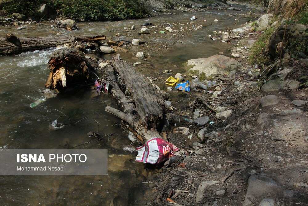 وضعیت اسفناک جنگل‌های گلستان پس از تعطیلات نوروزی+عکس