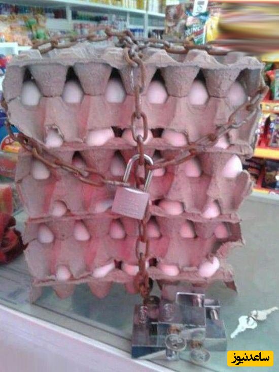خلاقیت عجیب یک بقال برای جلوگیری از سرقت  تخم مرغ+عکس