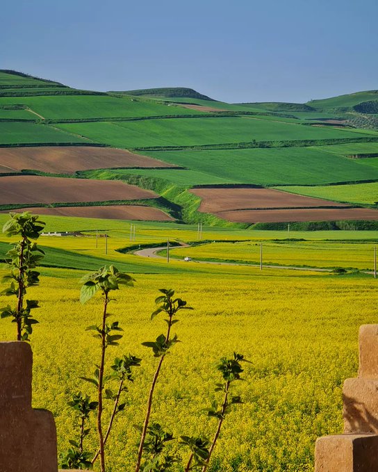 تصویر چشم نواز از بهار کلاله گلستان+عکس