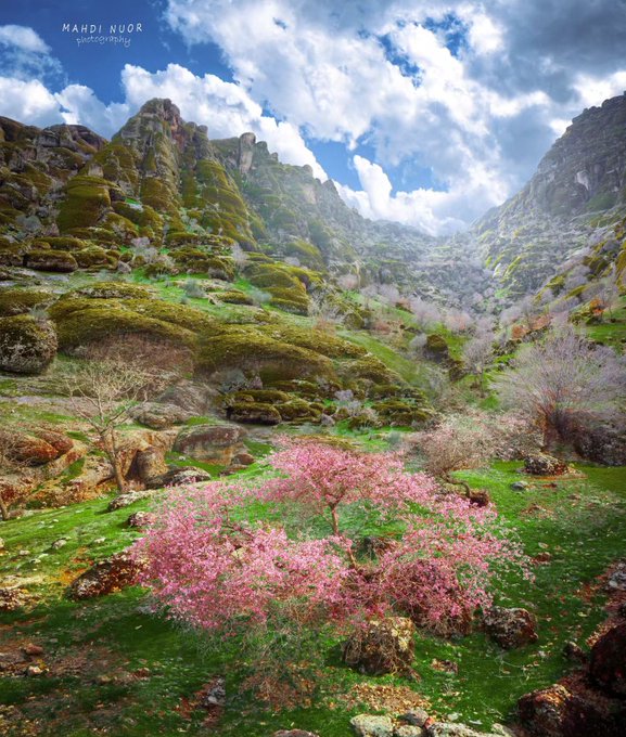بهاری طبیعت در استان لرستان که شبیه بهشت است+عکس