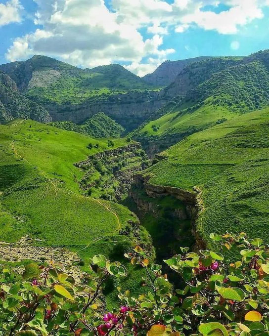 دره زیبای چریش در بهار به گل نشست+عکس