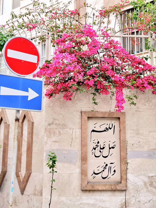 تصویر روح نواز از منطقه ۱۴ تهران+عکس
