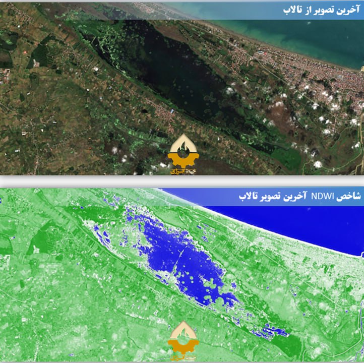تصویر نگران‌کننده‌ای که از تالاب انزلی وایرال شد +عکس
