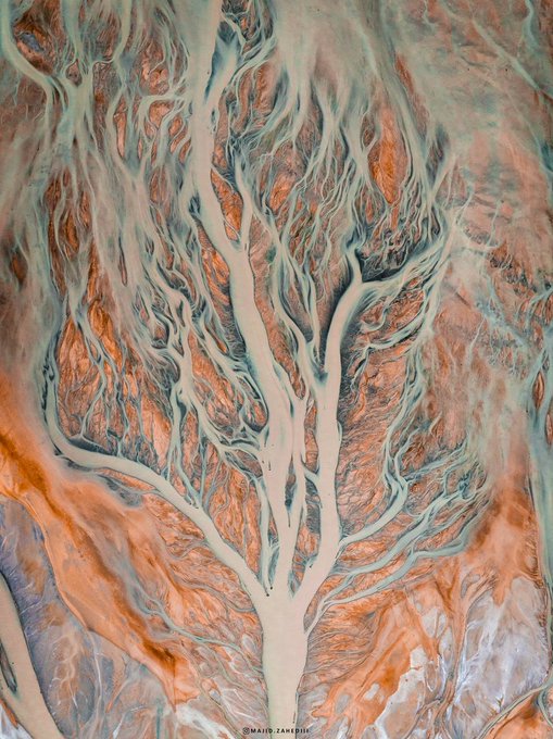 این تصویر یک درخت زیبا نیست، دریاچه ارومیه است+عکس