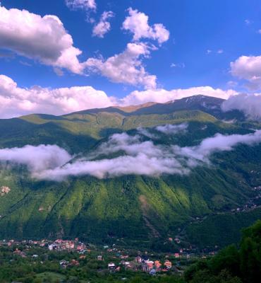 صبح مازندران در بهار این شکلی است+عکس