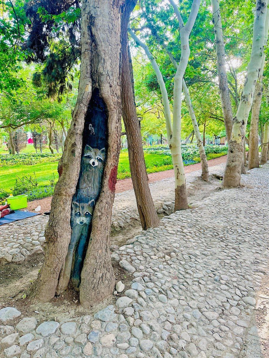 خلاقیت عجیب در پارک ملت مشهد+عکس