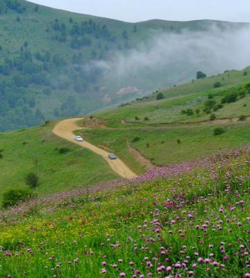 بهار در ییلاق سلانسر چنین جلوه گری می‌کند+عکس