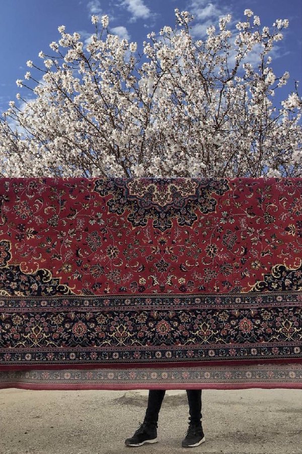 تصویر دیدنی از ترکیب فرش ایرانی و بهار+عکس