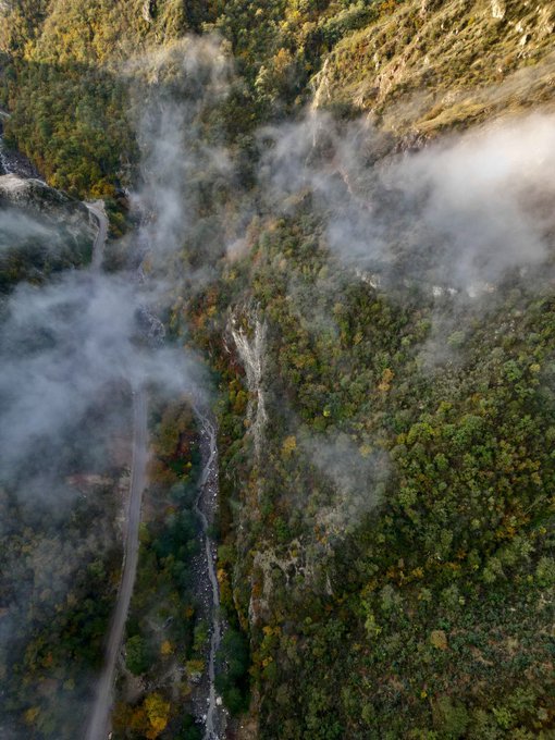 نمایی هوایی از جنگل انجیرچشمه رامیان+عکس