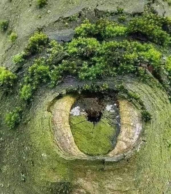 چشم های زمین رو دیده بودین؟