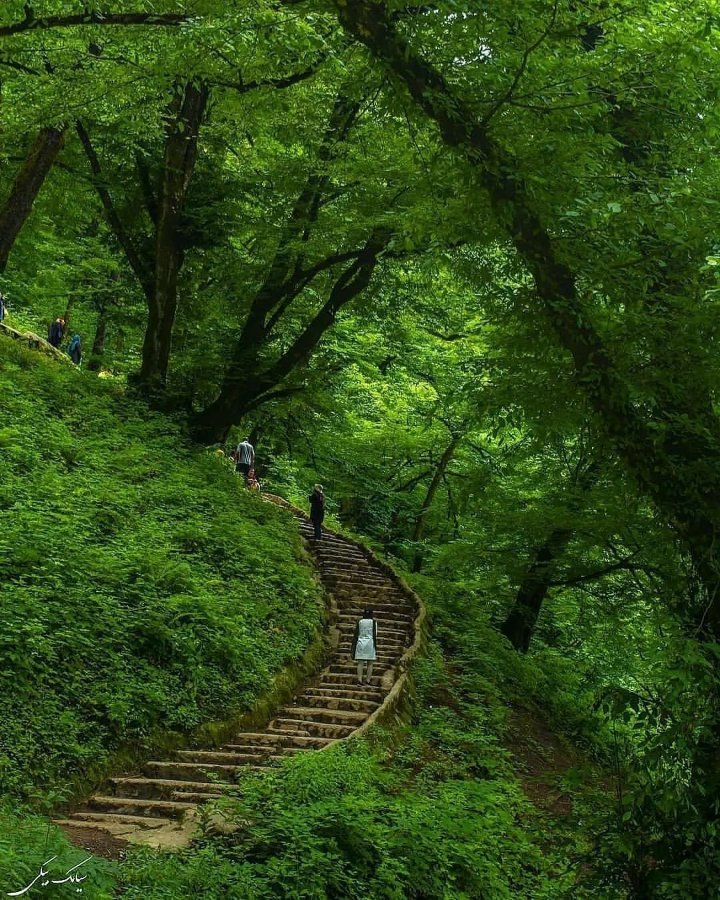 این‌جا اروپا نیست مسیر قلعه‌رودخان گیلان است+عکس