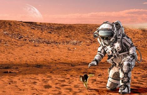 تصاویری از اندازه رشد گوجه و هویج در خاک «مریخی» 