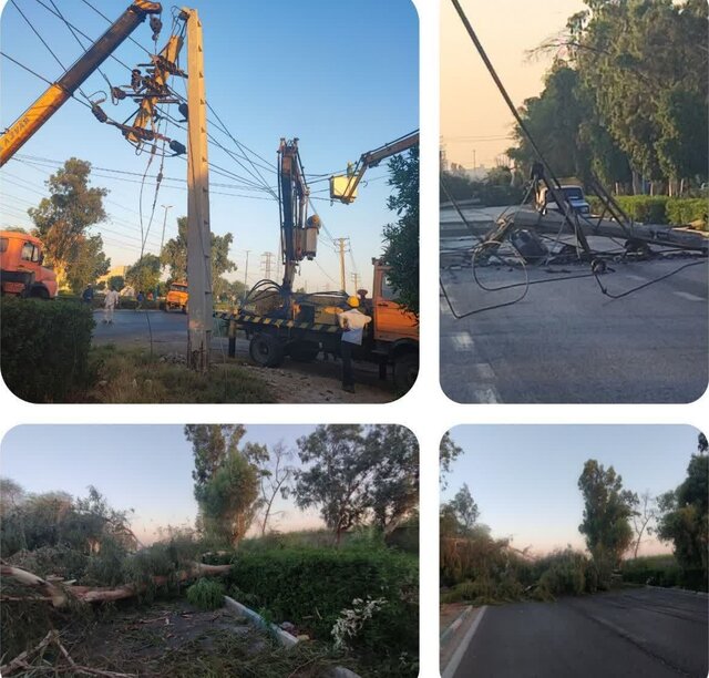 سقوط درخت روی شبکه برق در اتوبان لشکر اهواز + عکس
