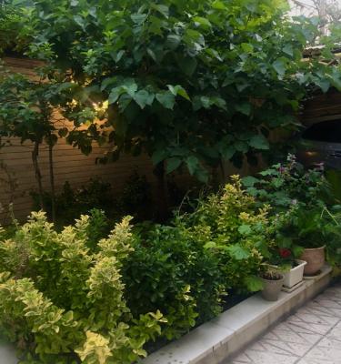 تصویری که می‌توانید عطر و بوی خاص آن را حس کنید