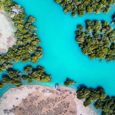 جنگلهای مانگرو در قشم و دریای آبی‌اش+عکس