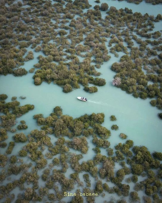 قایق سواری در جنگل حرای قشم+عکس