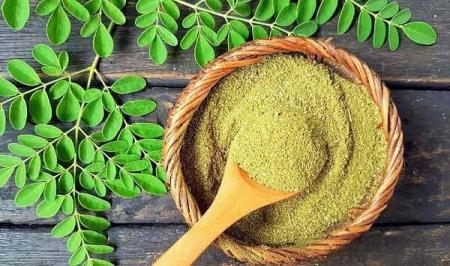 با خواص دارویی مورینگا آشنا شوید