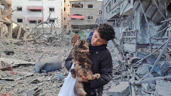 نجات یک گربه توسط پسربچه اهل غزه در میان ویرانه‌های شهر+عکس