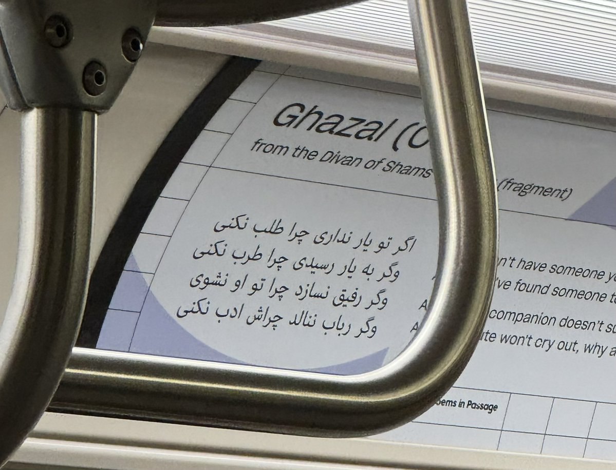عکسی از مترو تورنتو که حال و هوای ایران را دارد! + عکس