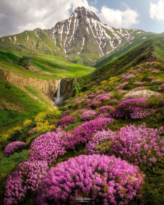تصویر رویایی از بهار در ارتفاعات سه‌هزار تنکابن