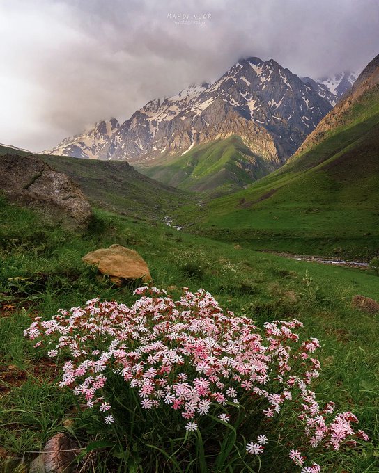 نمایی زیبا از آلپ ایران در بهار+عکس